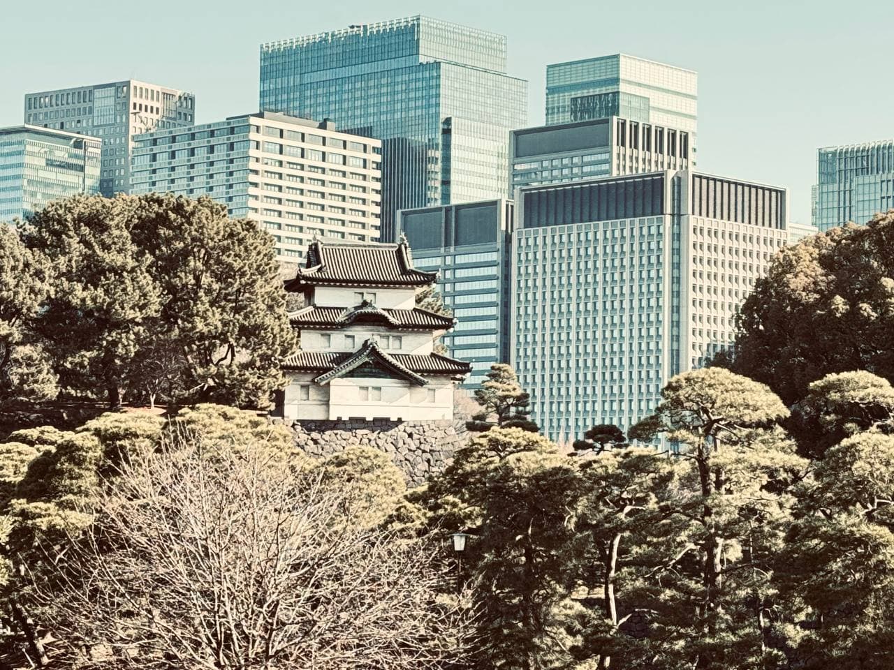 Historic Tokyo with a Touch of the Modern